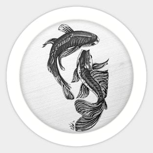 Koi Carp Dancing Sticker